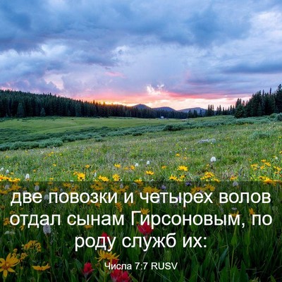 Picture 03 - Числа 7:7 RUSV - две повозки и четырех - Bible Verse Picture