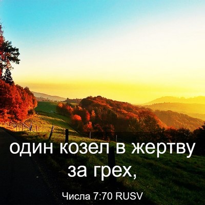 Picture 03 - Числа 7:70 RUSV - один козел в жертву за - Bible Verse Picture