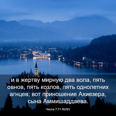 Picture 03 - Числа 7:71 RUSV - и в жертву мирную два вола, - Bible Verse Picture