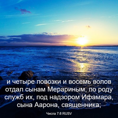 Picture 03 - Числа 7:8 RUSV - и четыре повозки и восемь - Bible Verse Picture