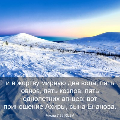 Picture 03 - Числа 7:83 RUSV - и в жертву мирную два вола, - Bible Verse Picture