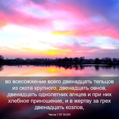 Picture 03 - Числа 7:87 RUSV - во всесожжение всего - Bible Verse Picture