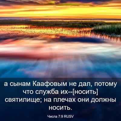 Picture 03 - Числа 7:9 RUSV - а сынам Каафовым не дал, - Bible Verse Picture