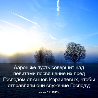 Picture 03 - Числа 8:11 RUSV - Аарон же пусть совершит - Bible Verse Picture