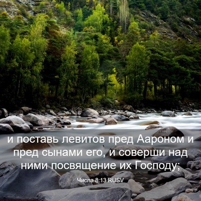 Picture 03 - Числа 8:13 RUSV - и поставь левитов пред - Bible Verse Picture