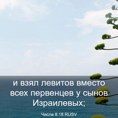 Picture 03 - Числа 8:18 RUSV - и взял левитов вместо всех - Bible Verse Picture