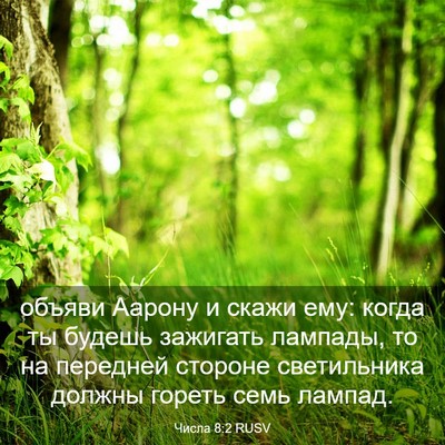 Picture 03 - Числа 8:2 RUSV - объяви Аарону и скажи ему: - Bible Verse Picture