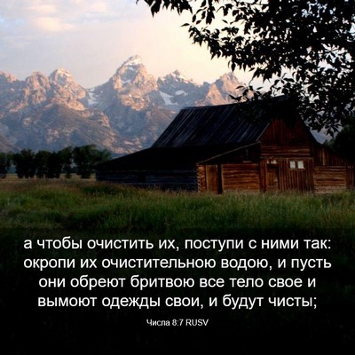 Picture 03 - Числа 8:7 RUSV - а чтобы очистить их, - Bible Verse Picture