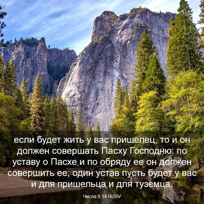 Picture 03 - Числа 9:14 RUSV - если будет жить у вас - Bible Verse Picture