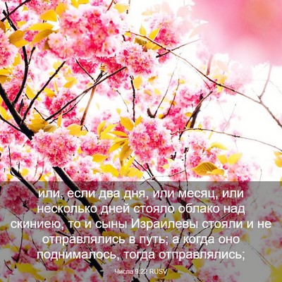 Picture 03 - Числа 9:22 RUSV - или, если два дня, или - Bible Verse Picture