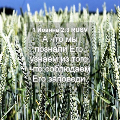 Picture 04 - 1 Иоанна 2:3 RUSV - А что мы познали Его, - Bible Verse Picture