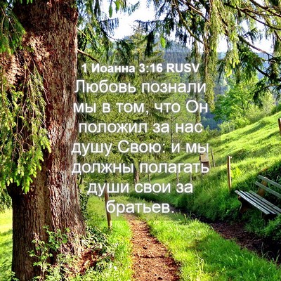 Picture 04 - 1 Иоанна 3:16 RUSV - Любовь познали мы в том, - Bible Verse Picture