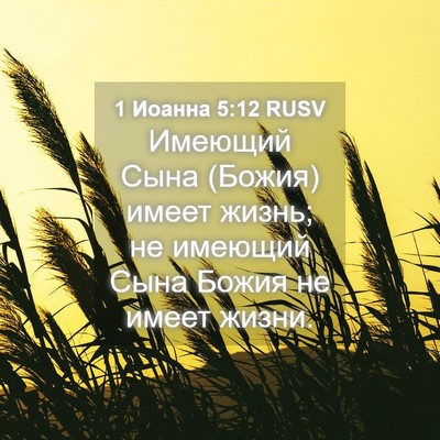 Picture 04 - 1 Иоанна 5:12 RUSV - Имеющий Сына (Божия) имеет - Bible Verse Picture