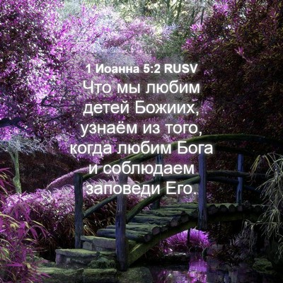 Picture 04 - 1 Иоанна 5:2 RUSV - Что мы любим детей Божиих, - Bible Verse Picture