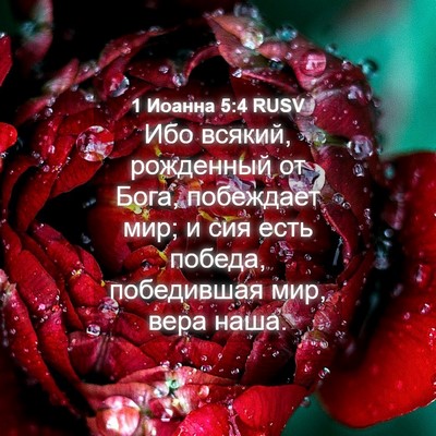 Picture 04 - 1 Иоанна 5:4 RUSV - Ибо всякий, рожденный от - Bible Verse Picture