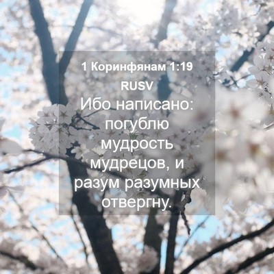 Picture 04 - 1 Коринфянам 1:19 RUSV - Ибо написано: погублю - Bible Verse Picture