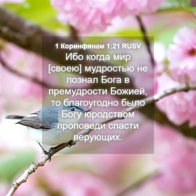 Picture 04 - 1 Коринфянам 1:21 RUSV - Ибо когда мир [своею] - Bible Verse Picture