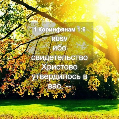 Picture 04 - 1 Коринфянам 1:6 RUSV - ибо свидетельство - Bible Verse Picture