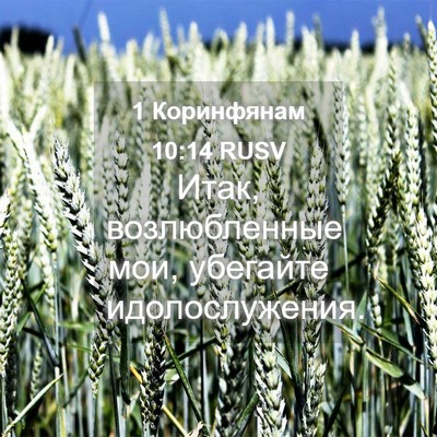 Picture 04 - 1 Коринфянам 10:14 RUSV - Итак, возлюбленные мои, - Bible Verse Picture