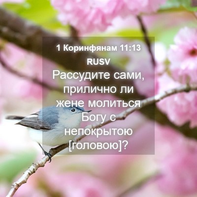 Picture 04 - 1 Коринфянам 11:13 RUSV - Рассудите сами, прилично - Bible Verse Picture