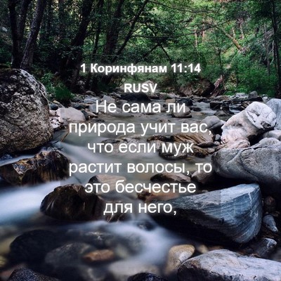 Picture 04 - 1 Коринфянам 11:14 RUSV - Не сама ли природа учит - Bible Verse Picture
