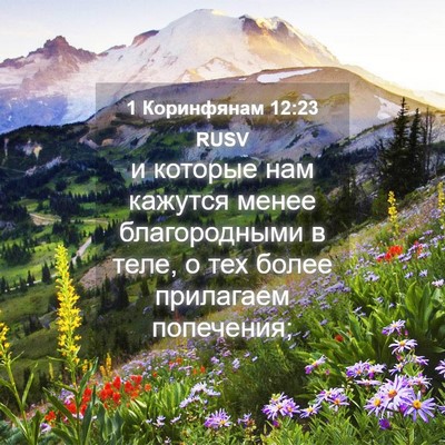 Picture 04 - 1 Коринфянам 12:23 RUSV - и которые нам кажутся - Bible Verse Picture