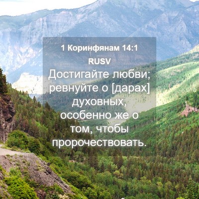 Picture 04 - 1 Коринфянам 14:1 RUSV - Достигайте любви; ревнуйте - Bible Verse Picture