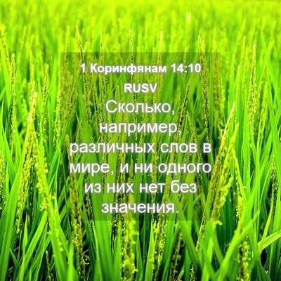 Picture 04 - 1 Коринфянам 14:10 RUSV - Сколько, например, - Bible Verse Picture