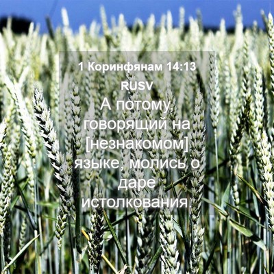 Picture 04 - 1 Коринфянам 14:13 RUSV - А потому, говорящий на - Bible Verse Picture