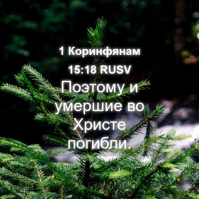 Picture 04 - 1 Коринфянам 15:18 RUSV - Поэтому и умершие во - Bible Verse Picture