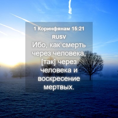 Picture 04 - 1 Коринфянам 15:21 RUSV - Ибо, как смерть через - Bible Verse Picture