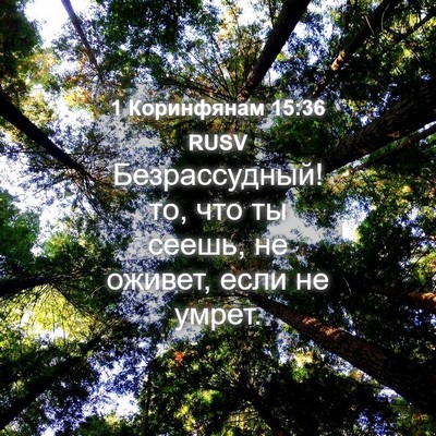 Picture 04 - 1 Коринфянам 15:36 RUSV - Безрассудный! то, что ты - Bible Verse Picture
