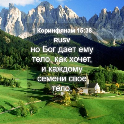 Picture 04 - 1 Коринфянам 15:38 RUSV - но Бог дает ему тело, как - Bible Verse Picture