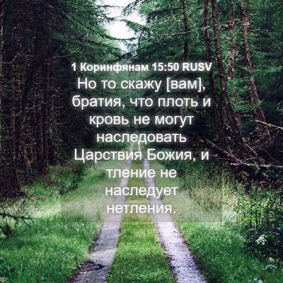 Picture 04 - 1 Коринфянам 15:50 RUSV - Но то скажу [вам], братия, - Bible Verse Picture