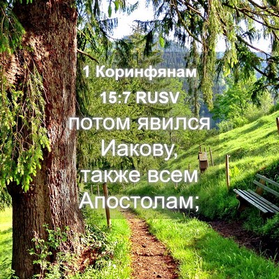 Picture 04 - 1 Коринфянам 15:7 RUSV - потом явился Иакову, также - Bible Verse Picture