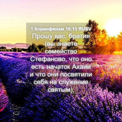 Picture 04 - 1 Коринфянам 16:15 RUSV - Прошу вас, братия (вы - Bible Verse Picture