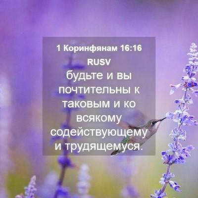 Picture 04 - 1 Коринфянам 16:16 RUSV - будьте и вы почтительны к - Bible Verse Picture