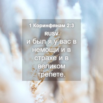 Picture 04 - 1 Коринфянам 2:3 RUSV - и был я у вас в немощи и в - Bible Verse Picture