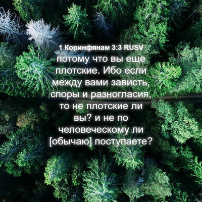 Picture 04 - 1 Коринфянам 3:3 RUSV - потому что вы еще плотские. - Bible Verse Picture