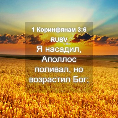 Picture 04 - 1 Коринфянам 3:6 RUSV - Я насадил, Аполлос поливал, - Bible Verse Picture