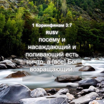 Picture 04 - 1 Коринфянам 3:7 RUSV - посему и насаждающий и - Bible Verse Picture