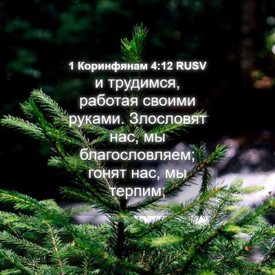 Picture 04 - 1 Коринфянам 4:12 RUSV - и трудимся, работая своими - Bible Verse Picture