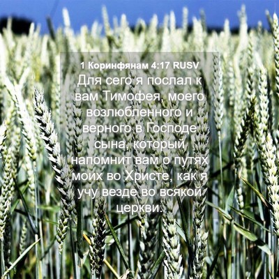 Picture 04 - 1 Коринфянам 4:17 RUSV - Для сего я послал к вам - Bible Verse Picture