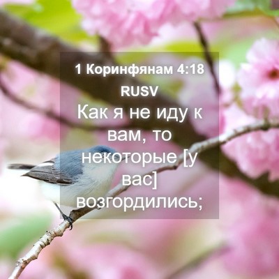Picture 04 - 1 Коринфянам 4:18 RUSV - Как я не иду к вам, то - Bible Verse Picture