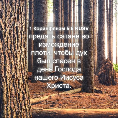 Picture 04 - 1 Коринфянам 5:5 RUSV - предать сатане во - Bible Verse Picture