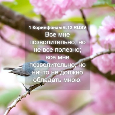 Picture 04 - 1 Коринфянам 6:12 RUSV - Все мне позволительно, но - Bible Verse Picture