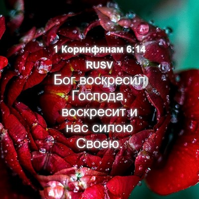 Picture 04 - 1 Коринфянам 6:14 RUSV - Бог воскресил Господа, - Bible Verse Picture