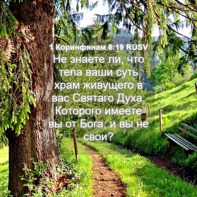 Picture 04 - 1 Коринфянам 6:19 RUSV - Не знаете ли, что тела ваши - Bible Verse Picture