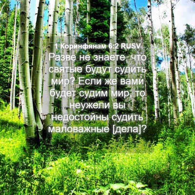 Picture 04 - 1 Коринфянам 6:2 RUSV - Разве не знаете, что святые - Bible Verse Picture