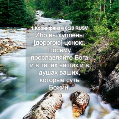 Picture 04 - 1 Коринфянам 6:20 RUSV - Ибо вы куплены [дорогою] - Bible Verse Picture